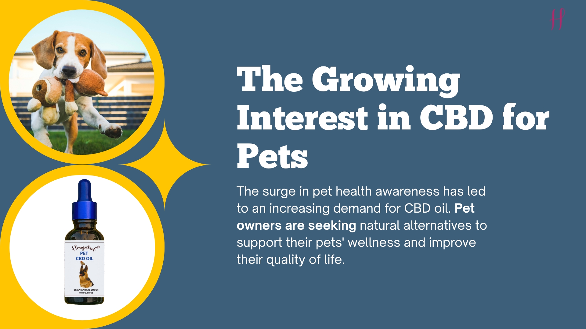 The Growing Interest in CBD for Pets